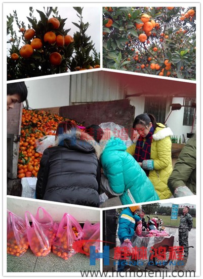 南豐蜜桔滯銷現象嚴重 桂林鴻程收購 南豐蜜桔 南豐蜜桔滯銷現象嚴重 桂林鴻程收購 南豐蜜桔